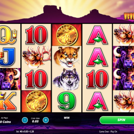 Buffalo slot machine by Aristocrat two coins