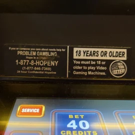 Sticker on a New York Lottery video lottery terminal