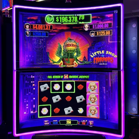Core vs. Premium Slot Machines: What’s the Difference?