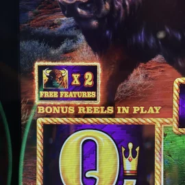 Buffalo link two free features