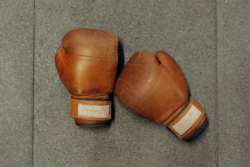 Pair of boxing gloves