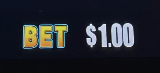 $1 Minimum Bet