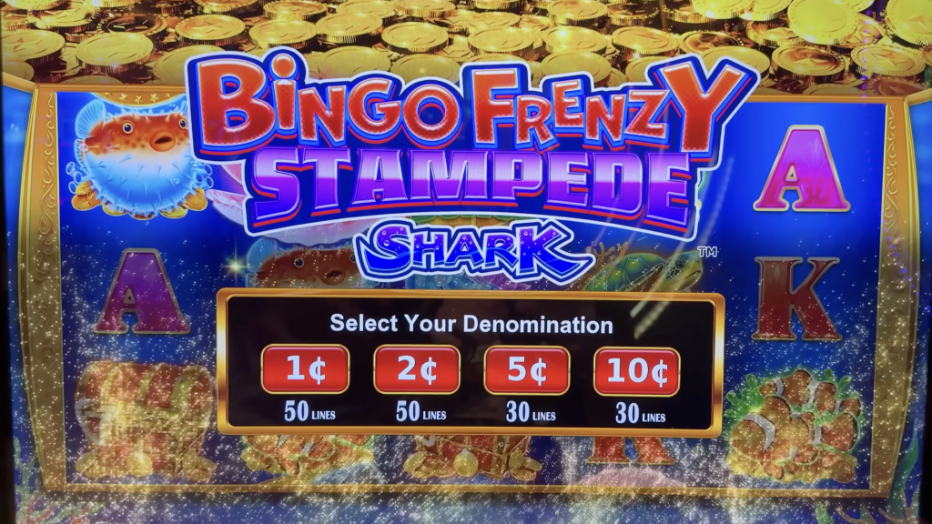 Bingo Frenzy