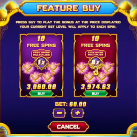 buy a bonus feature