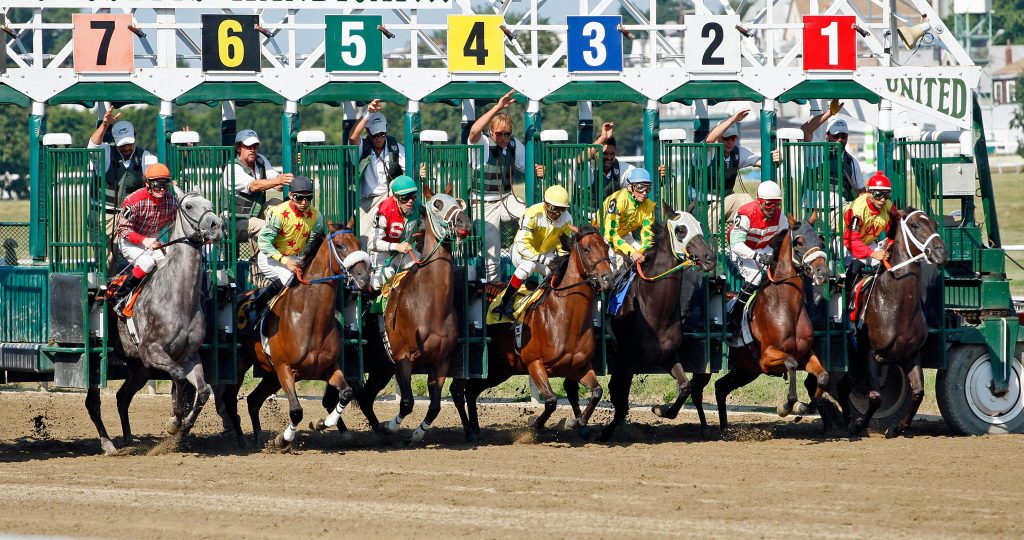 horse racing gates
