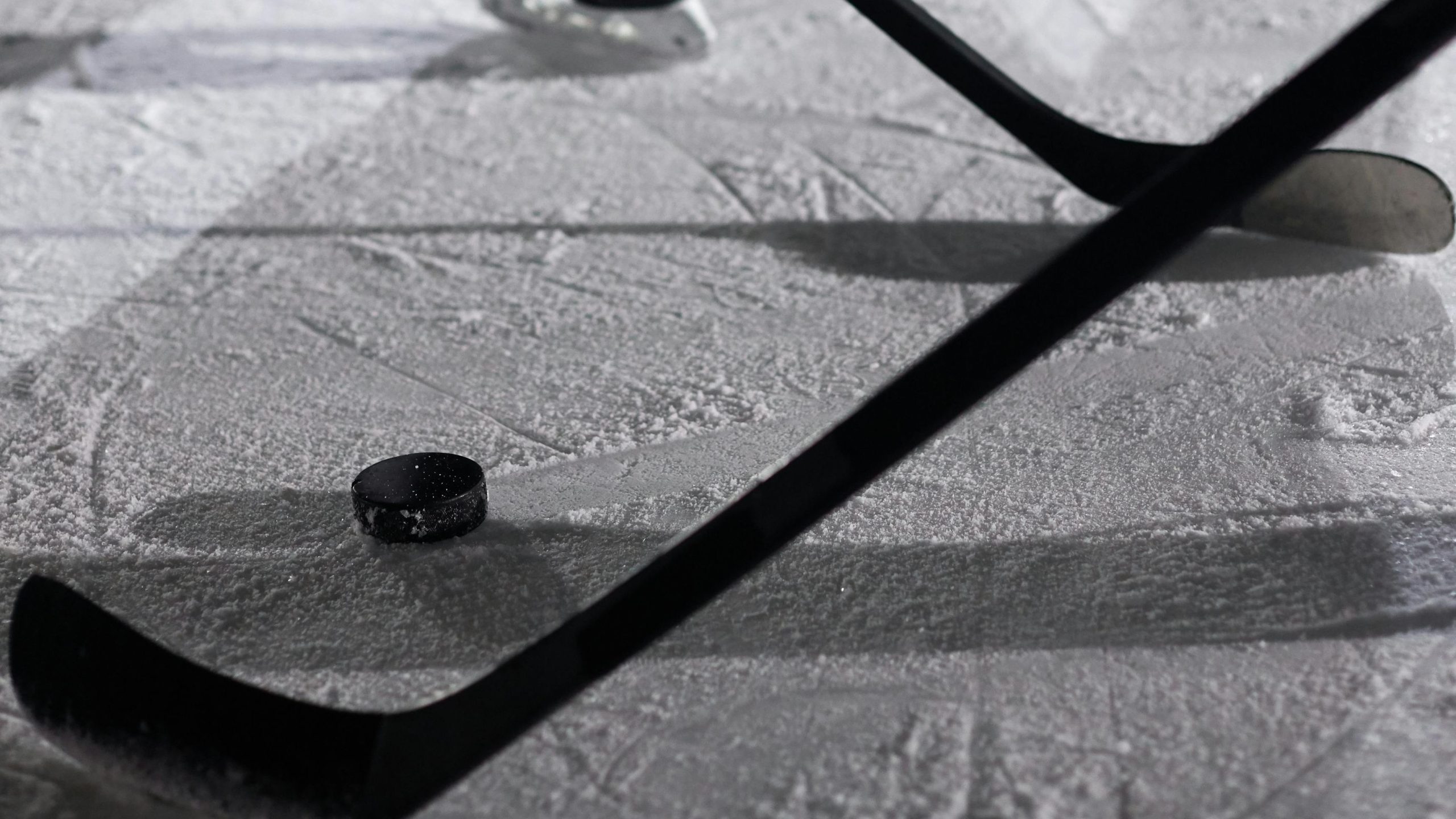 Hockey players hitting the puck