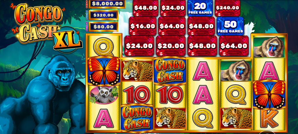 Congo Cash XL Butterfly Win