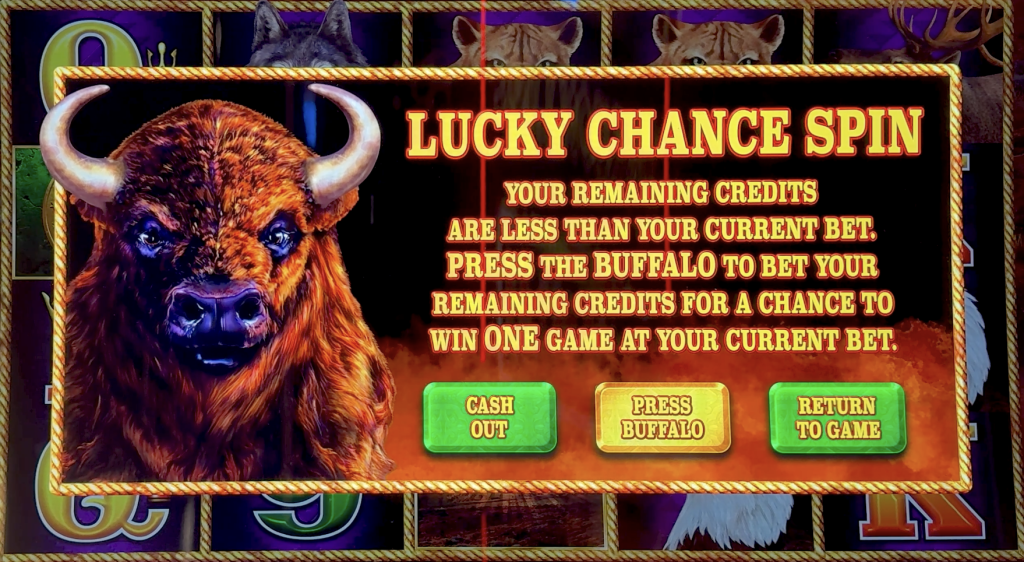 Lucky chance spin on buffalo link